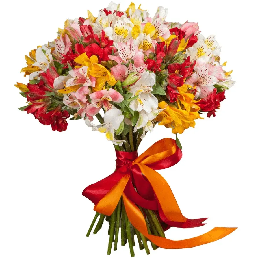 Альстромерия микс №5